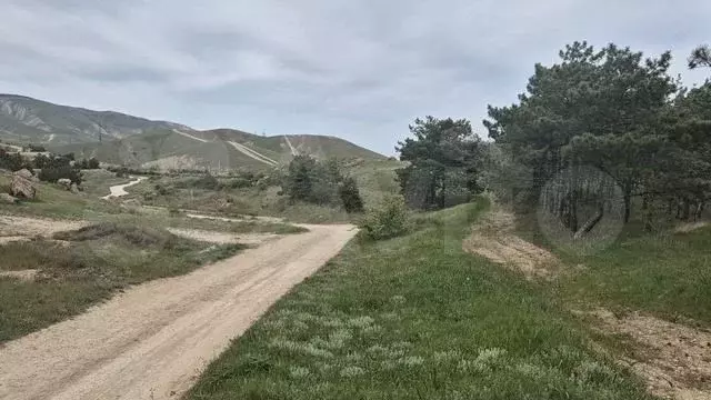 Участок 6 сот. (СНТ, ДНП) - Фото 1