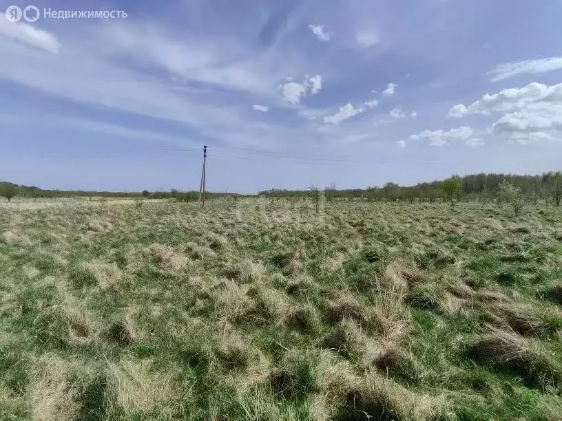 Участок в Калининградская область, Гурьевский муниципальный округ, ... - Фото 0