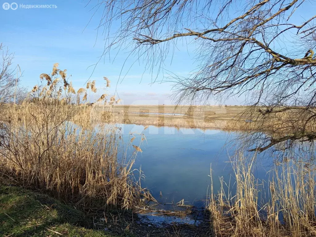 Участок в станица Курчанская, Набережная улица (8 м) - Фото 1