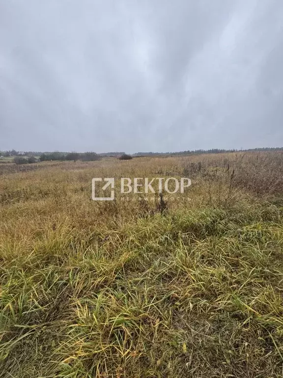 Участок в Костромская область, Судиславль пгт, Восточный мкр  (15.0 ... - Фото 2