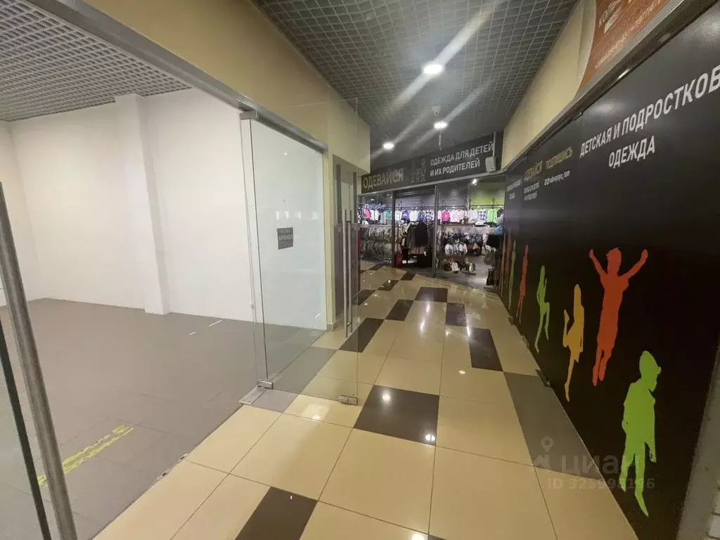 Помещение свободного назначения в Московская область, Раменское ул. ... - Фото 2