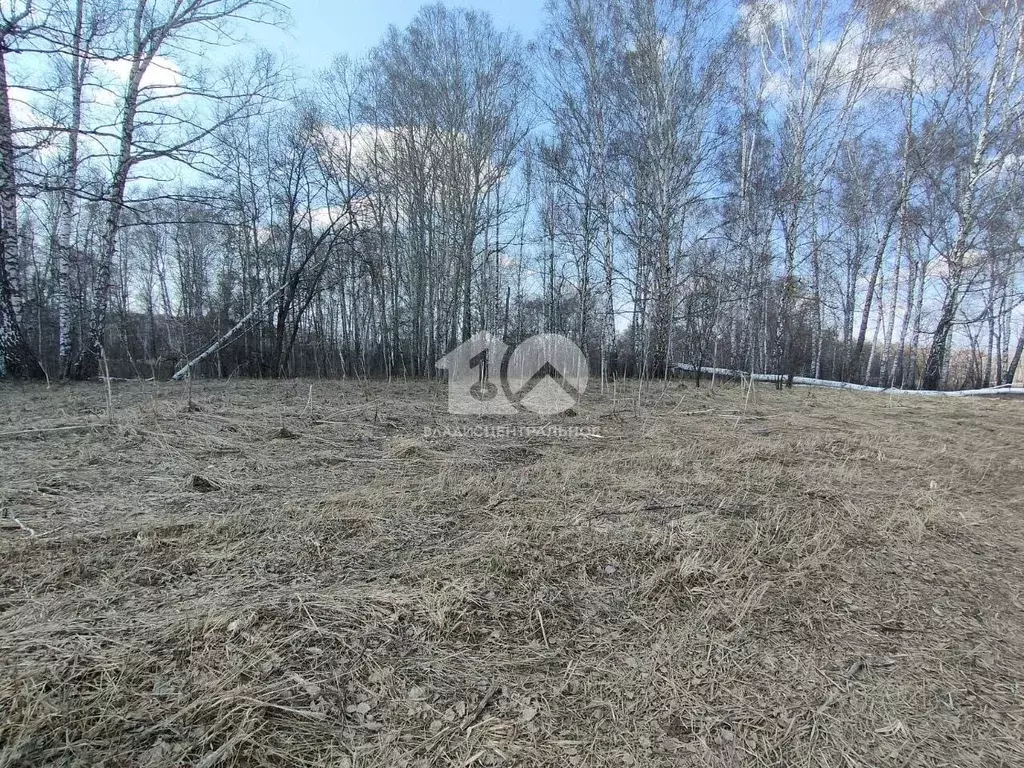 Участок в Новосибирская область, Новосибирский район, Криводановский ... - Фото 2