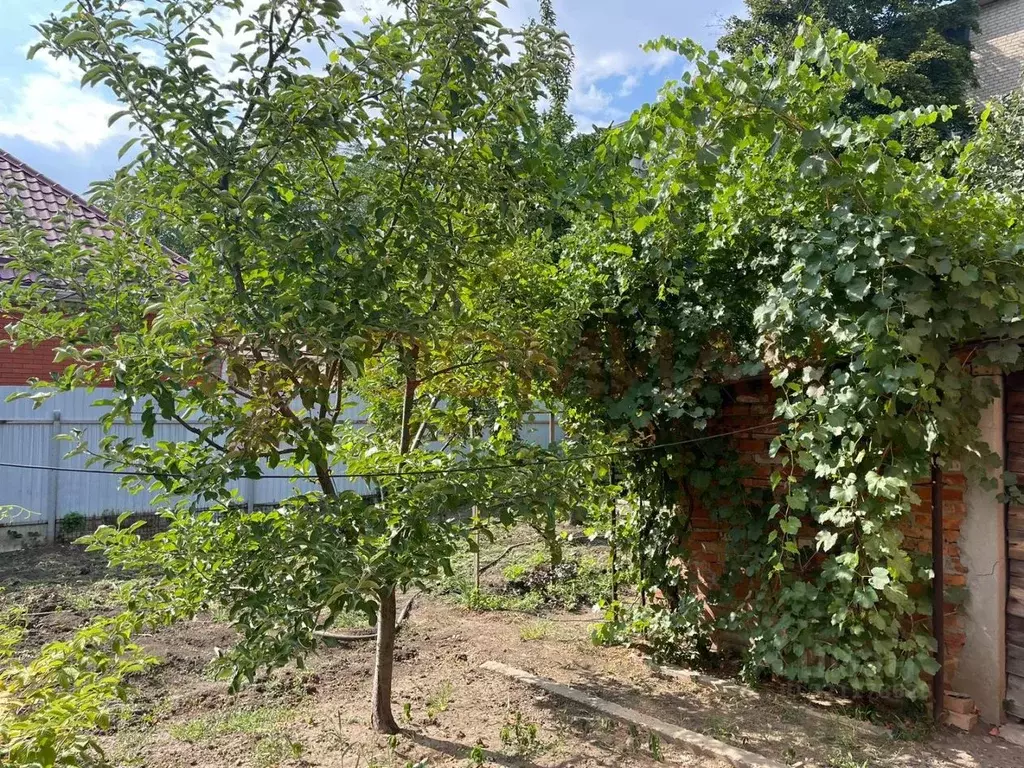 Дом в Ростовская область, Новочеркасск Чистый пер., 1 (60 м) - Фото 2