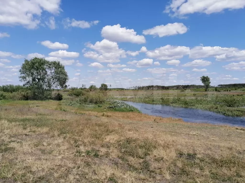 Купить участок ул. Южно-Моравская, Воронеж, продажа земельных участков ул.  Южно-Моравская, Воронеж недорого на AFY.ru