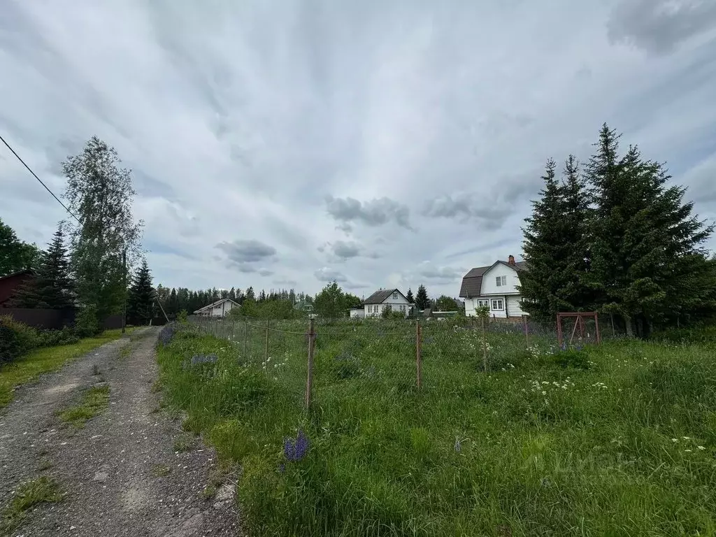 Участок в Московская область, Клин городской округ, д. ... - Фото 1