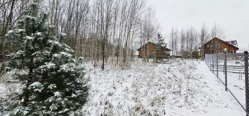 Участок в Тульская область, Заокский район, Страховское с/пос, ... - Фото 1