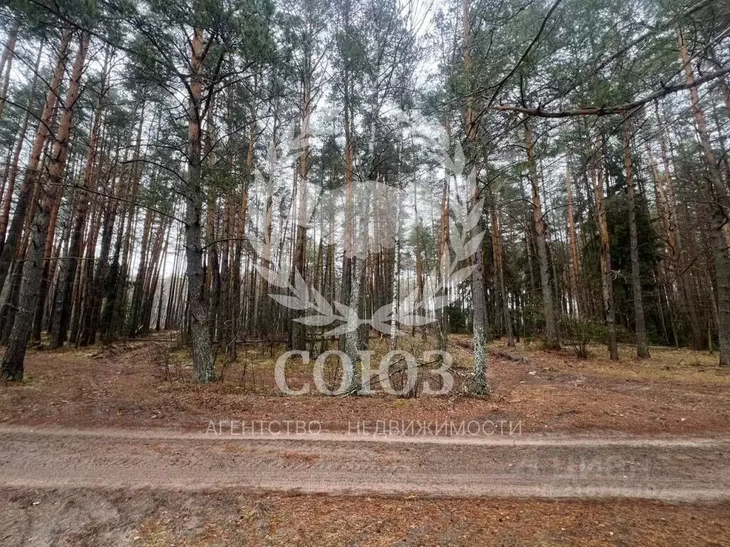 Участок в Калужская область, Перемышльский район, Корекозево с/пос, д. ... - Фото 2