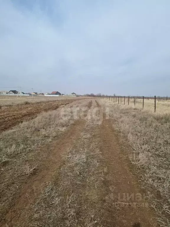 Участок в Волгоградская область, Дубовка ул. Имени Шолохова (6.7 сот.) - Фото 1