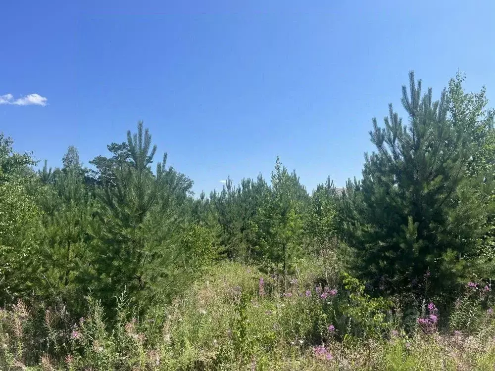 Участок в Иркутская область, Иркутский муниципальный округ, д. Куда ... - Фото 1