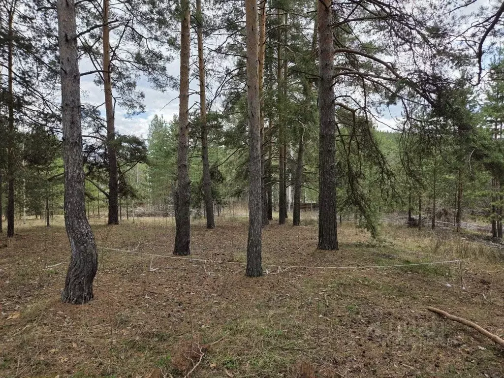 Участок в Свердловская область, Сысертский муниципальный округ, ... - Фото 1