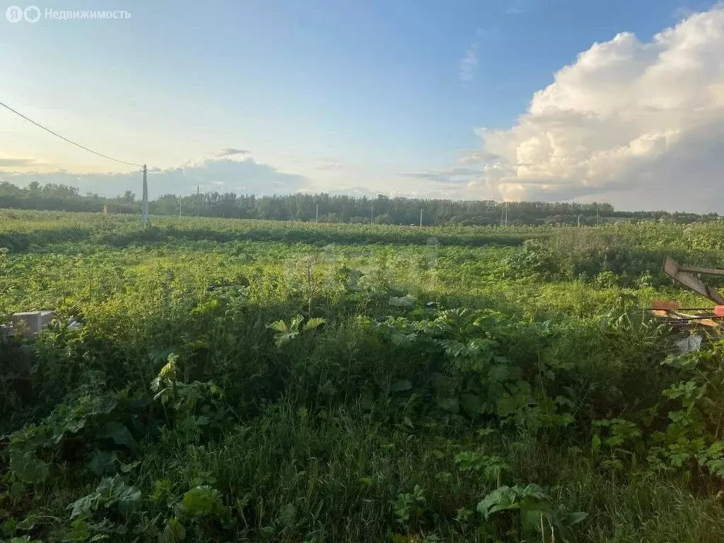 Участок в Тульская область, городской округ Тула, посёлок Придорожный ... - Фото 1