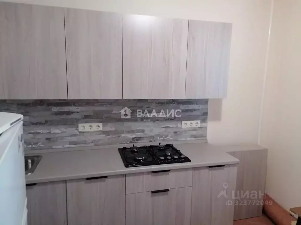 1-к кв. Владимирская область, Владимир ул. Нижняя Дуброва, 47к1 (33.0 ... - Фото 2