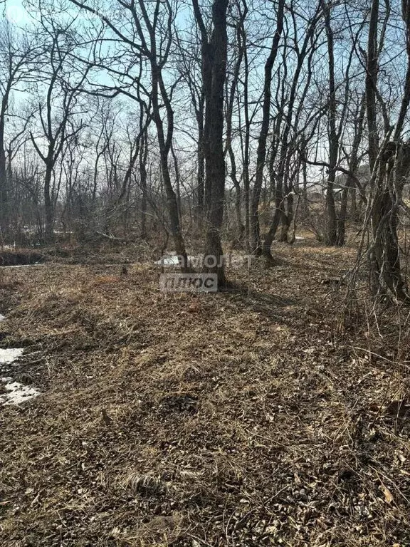 Участок в Владивостокский городской округ, посёлок Попова, Бассейная ... - Фото 1