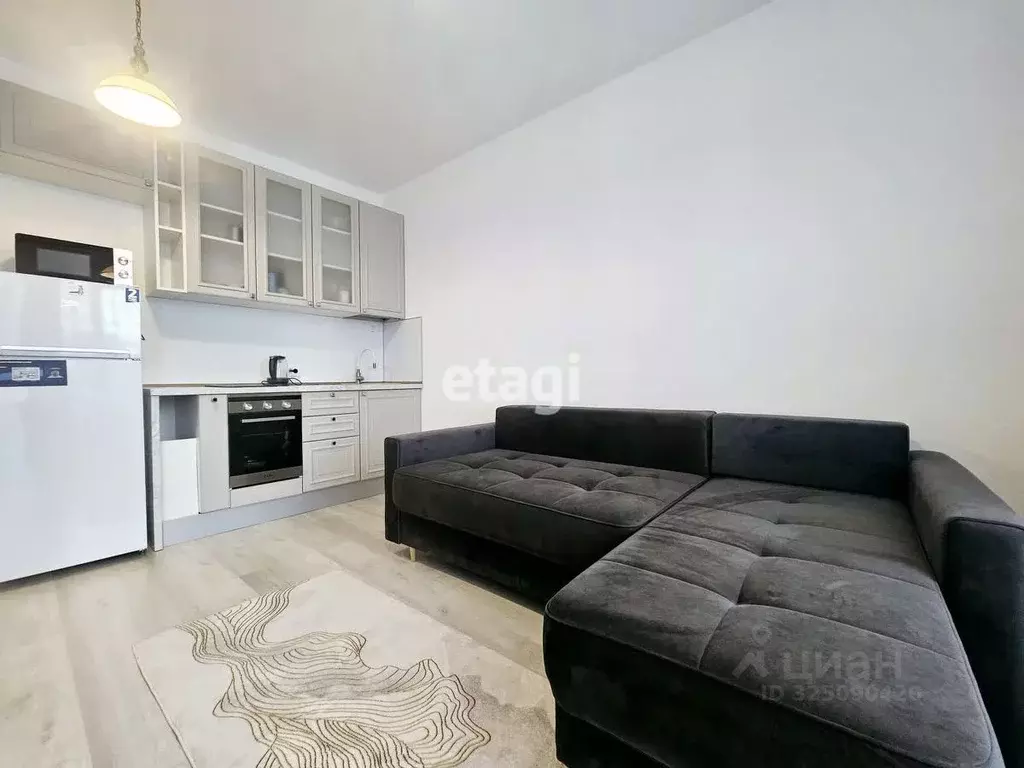 Студия Санкт-Петербург Фарфоровская ул., 7к1 (26.0 м) - Фото 1