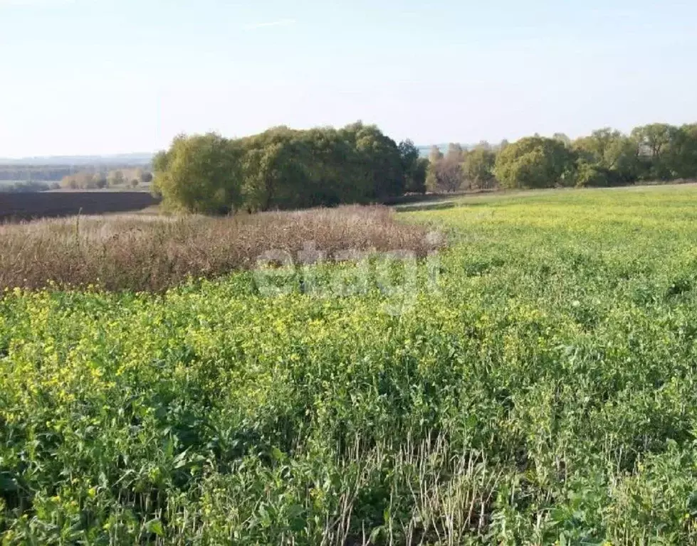 Участок в Тульская область, Щекинский район, Лазаревское с/пос, с. ... - Фото 1