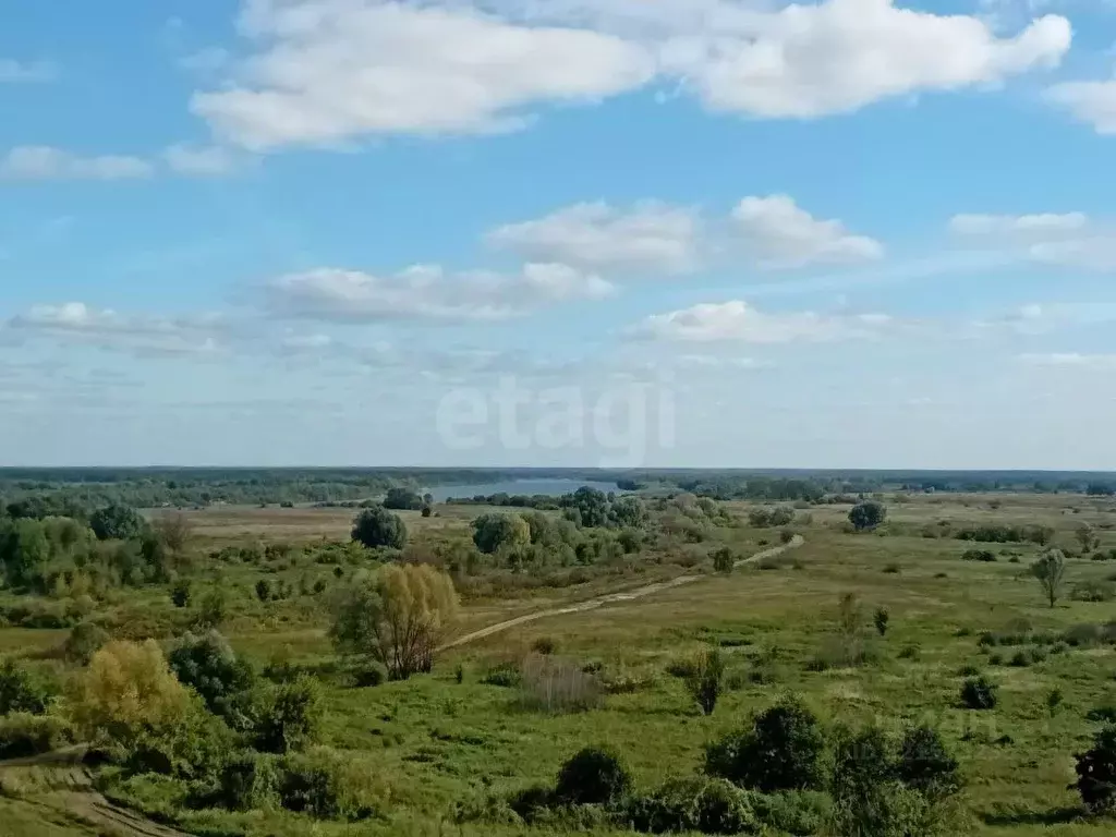 Участок в Владимирская область, Муром с. Панфилово,  (14.8 сот.) - Фото 1