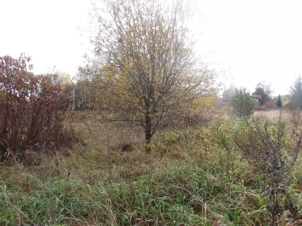 Участок в Московская область, Коломна городской округ, д. Печенцино  ... - Фото 2