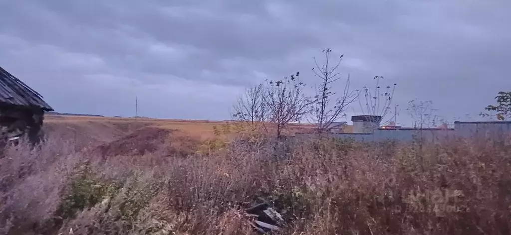 Участок в Татарстан, Алексеевский район, Лебяжинское с/пос, с. Саконы ... - Фото 2