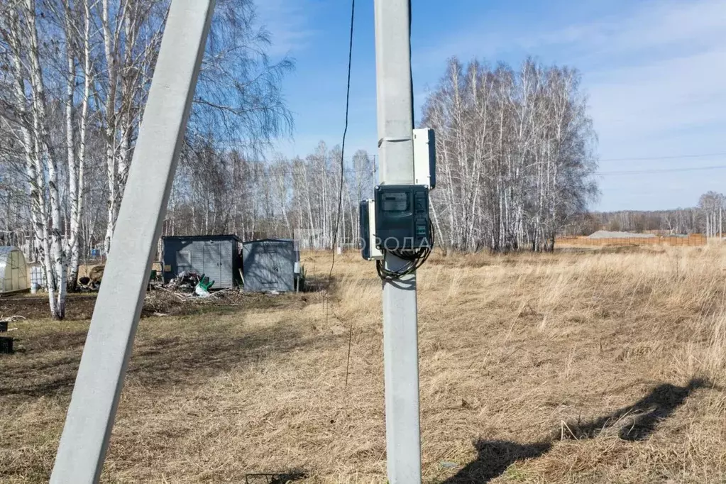 Участок в Новосибирская область, Новосибирский район, Сибирские ... - Фото 0