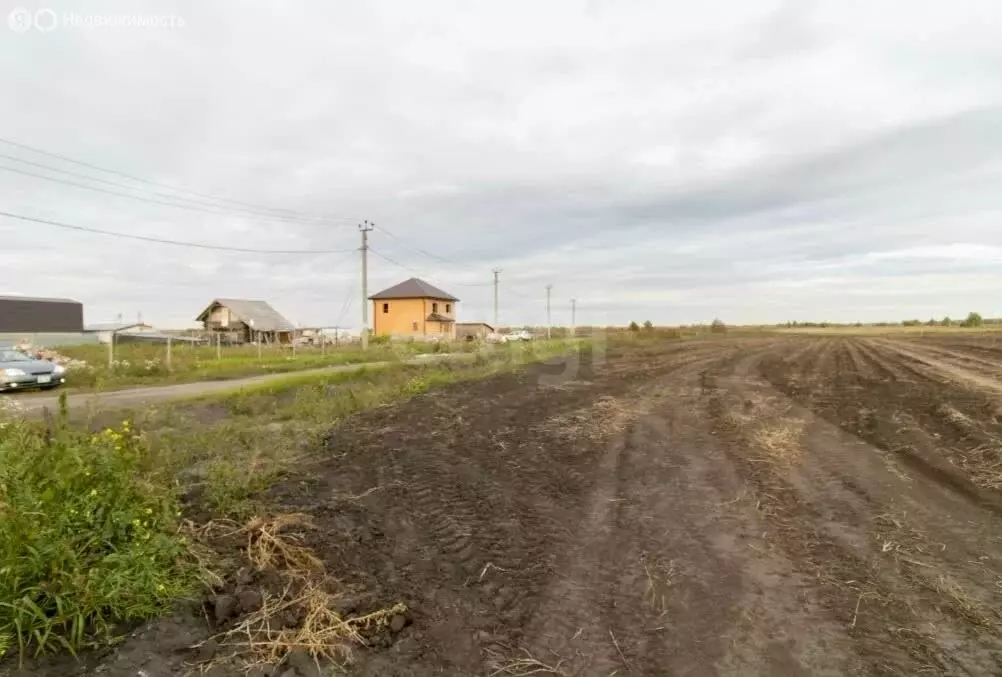 Участок в Тюменский муниципальный округ, ДНТ Воскресенье-1 (12.2 м) - Фото 2