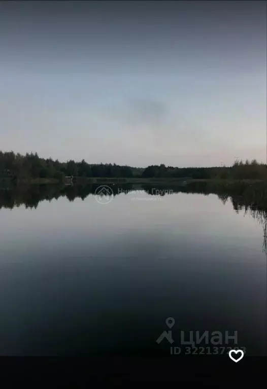 Участок в Нижегородская область, Нижний Новгород Первоцвет СНТ, 87 ... - Фото 2