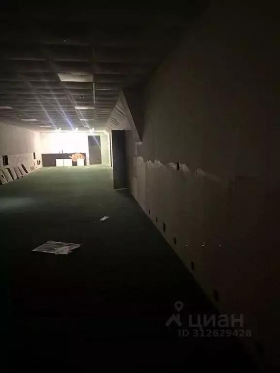 Помещение свободного назначения в Татарстан, Набережные Челны ул. ... - Фото 1