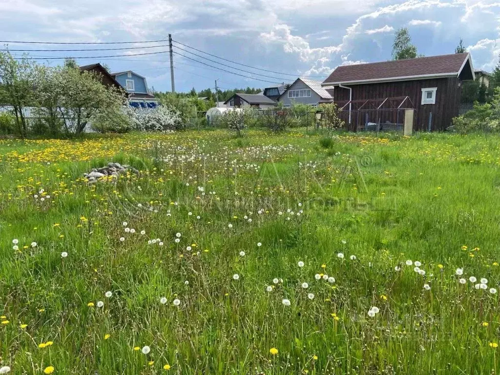 Участок в Ленинградская область, Ломоносовский район, Аннинское ... - Фото 1