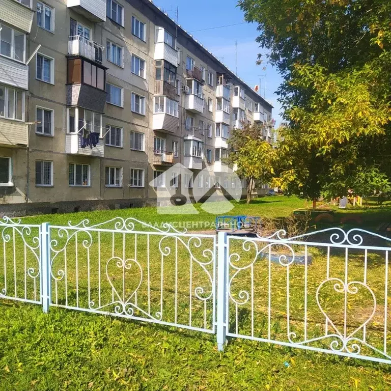 1-к кв. Новосибирская область, Мошково рп ул. Западная, 7 (29.0 м) - Фото 0