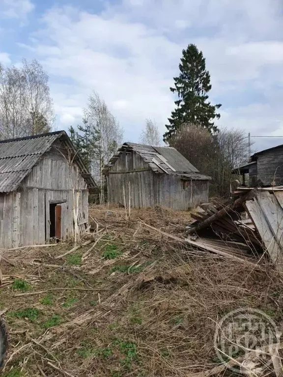 Дом в Ленинградская область, Лодейнопольский район, Алеховщинское ... - Фото 1