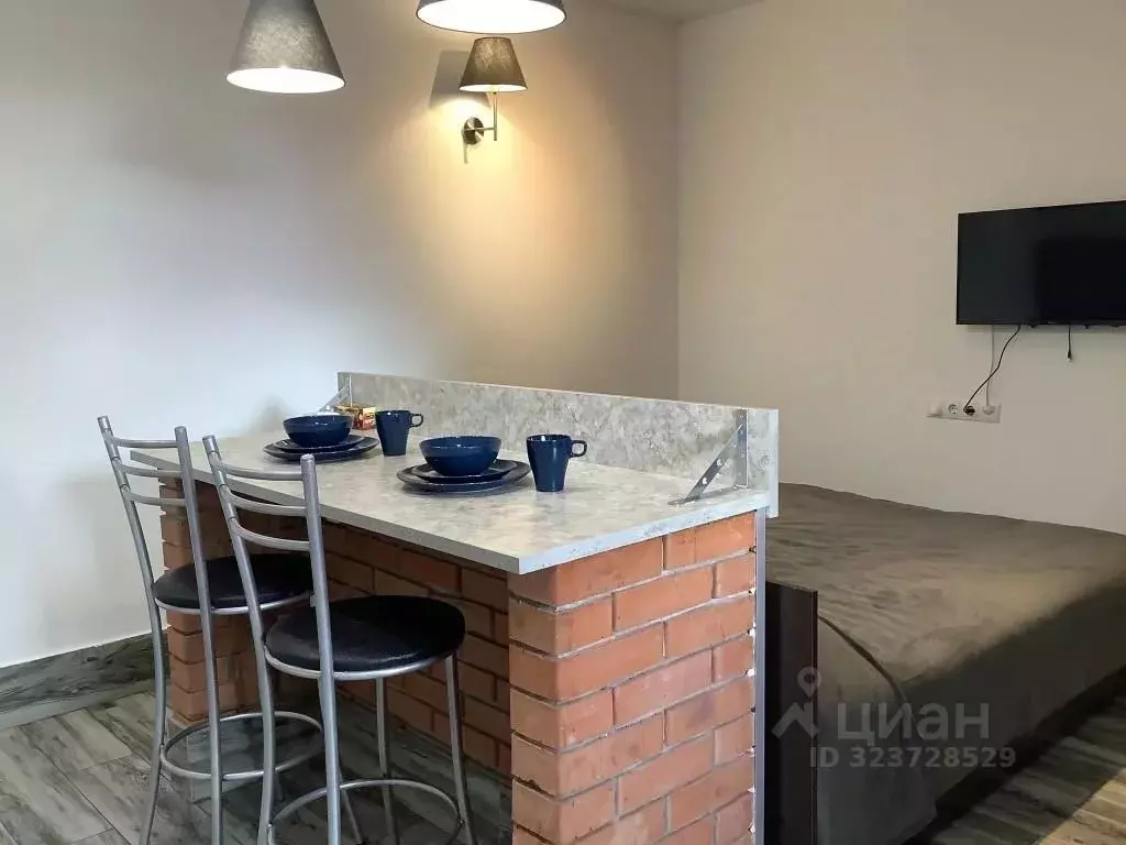 1-к кв. Нижегородская область, Кстово ул. Шохина, 144/6 (20.0 м) - Фото 2