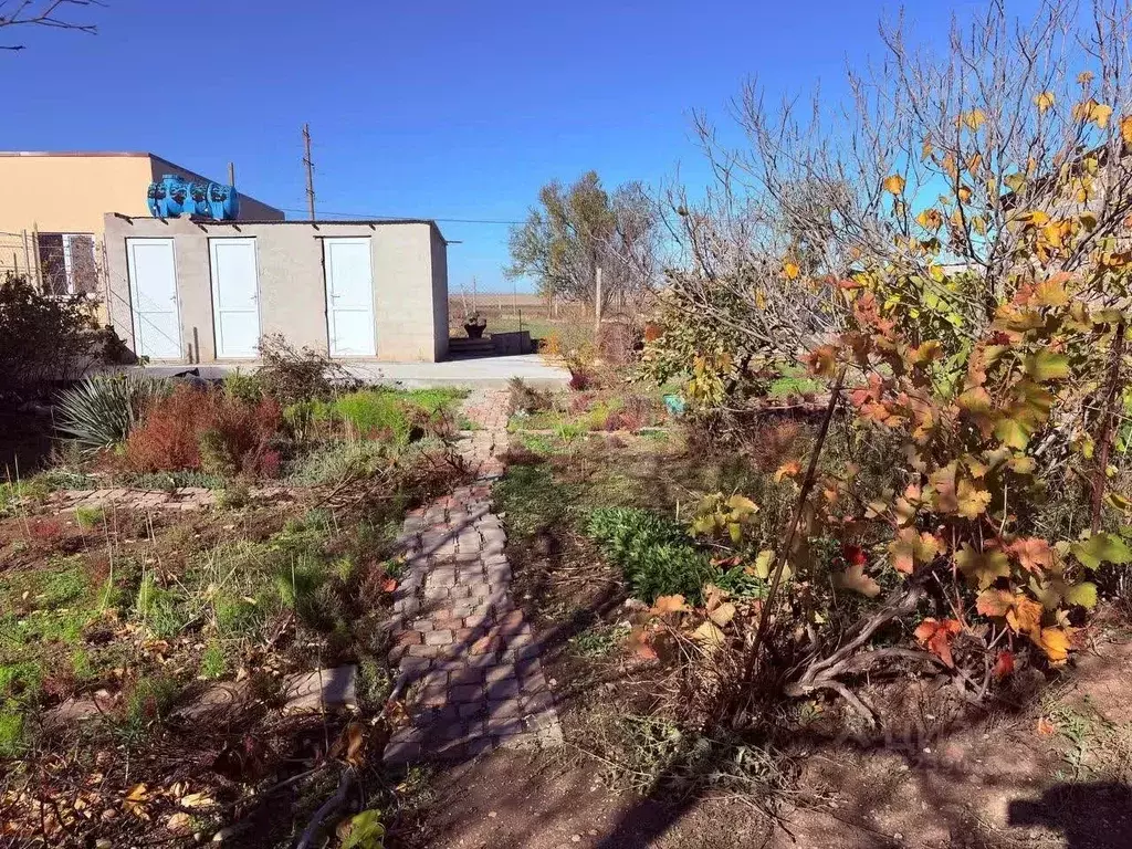 Участок в Крым, Сакский район, Штормовское с/пос, Полет СПК ул. ... - Фото 1