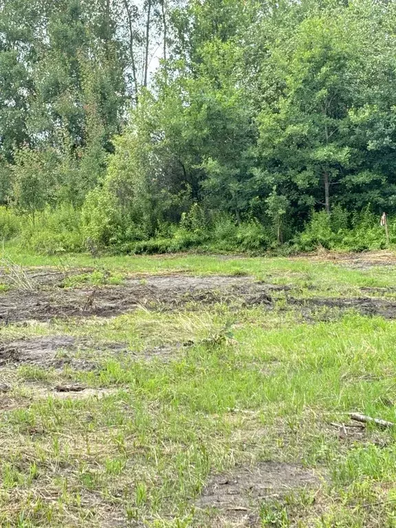 Участок в Калининградская область, Гурьевский муниципальный округ, ... - Фото 2