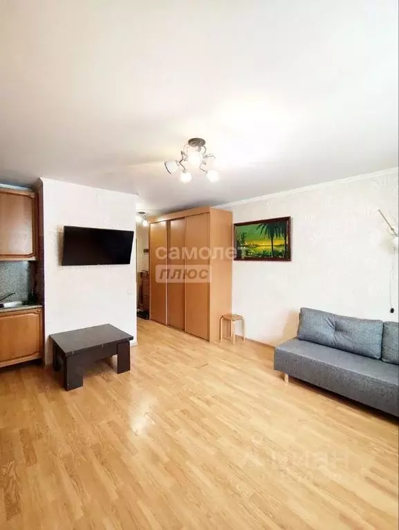 Студия Московская область, Ленинский городской округ, д. Сапроново, ... - Фото 1