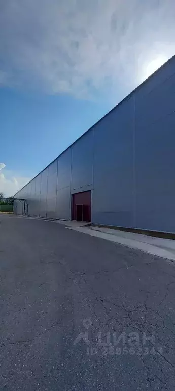 Производственное помещение в Калужская область, Балабаново г. ... - Фото 1