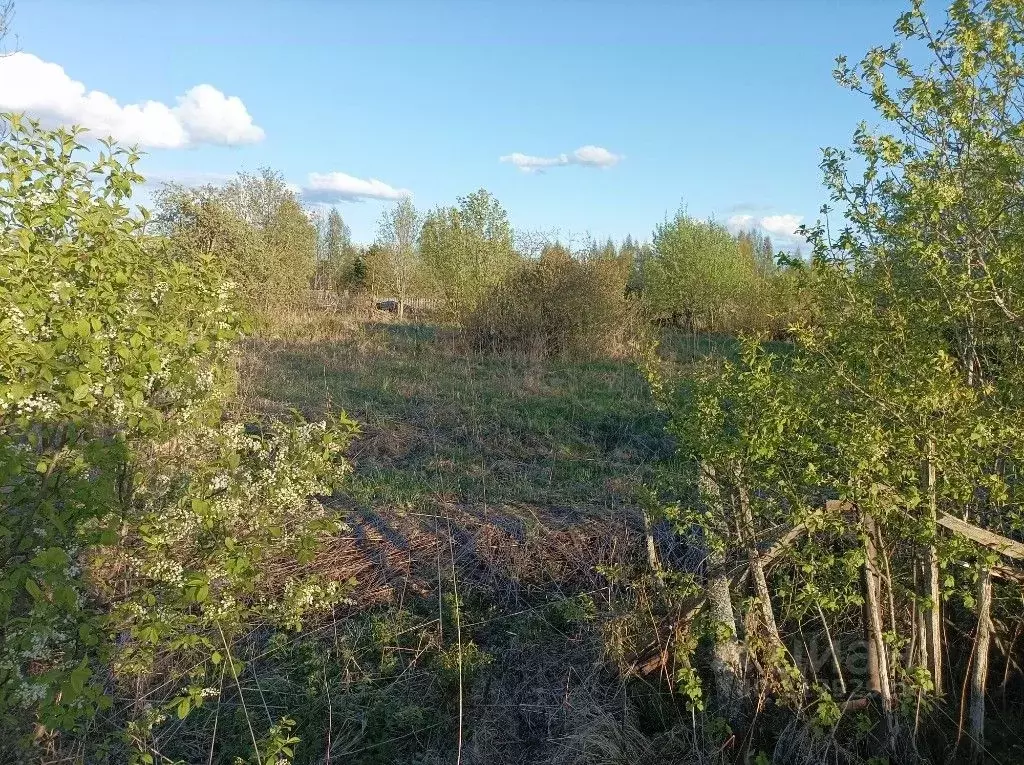 Дом в Вологодская область, д. Плющево  (38 м) - Фото 0
