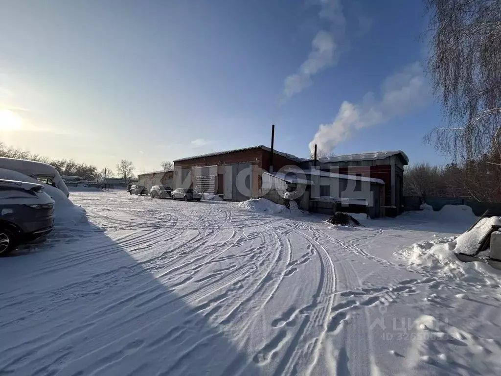 Производственное помещение в Новосибирская область, Бердск ... - Фото 1