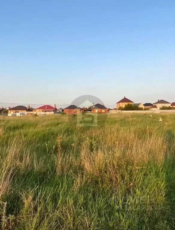 Участок в Курская область, Курский район, Новопоселеновский сельсовет, ... - Фото 1