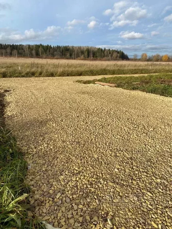 Участок в Ленинградская область, Гатчинский муниципальный округ, д. ... - Фото 2