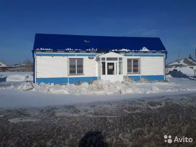 Староалейское. Магазин змеиногорск. Староалейское магазины. Сто староалейское режим работы. Староалейское магазины.