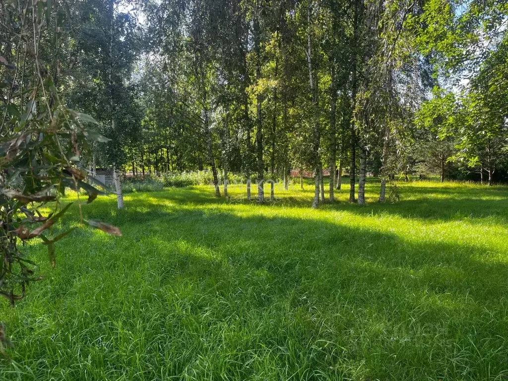 Участок в Санкт-Петербург Староорловская ул., 58 (20.0 сот.) - Фото 2