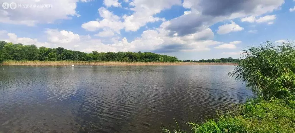 Участок в Тимашевский район, Дербентское сельское поселение, хутор ... - Фото 0