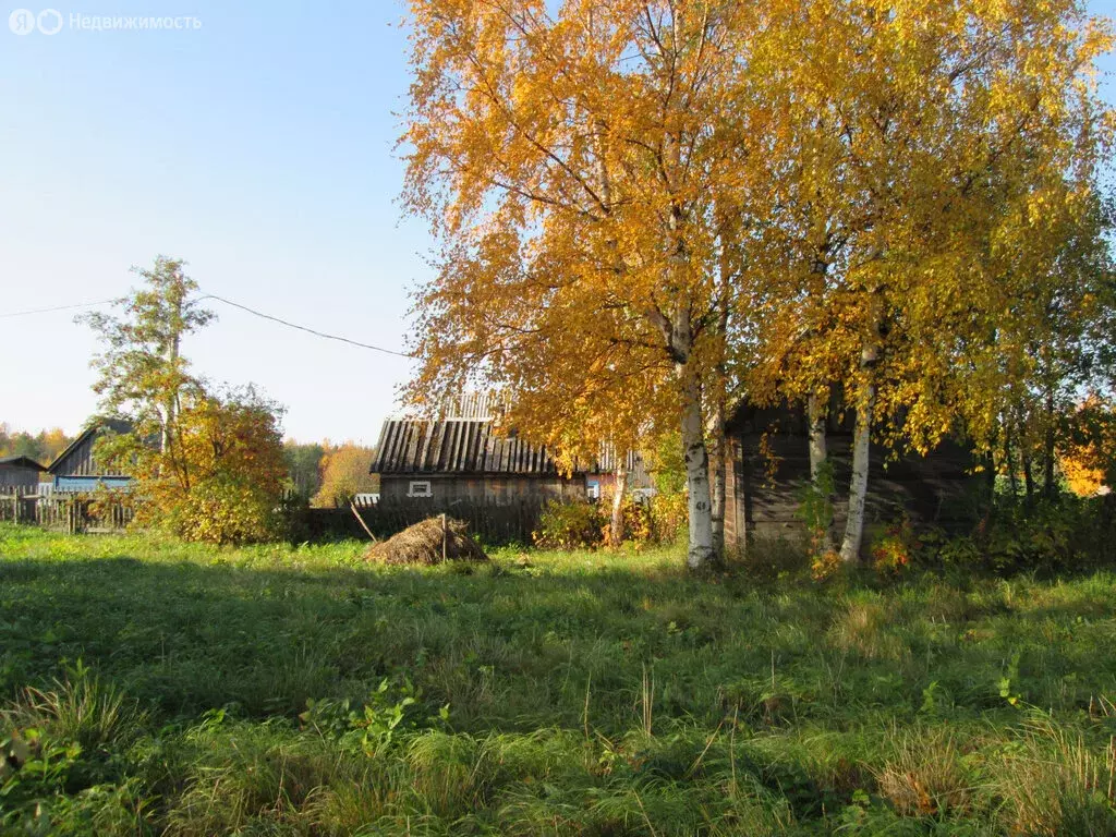 Участок в Архангельск, садовое товарищество Бочага (16 м) - Фото 0