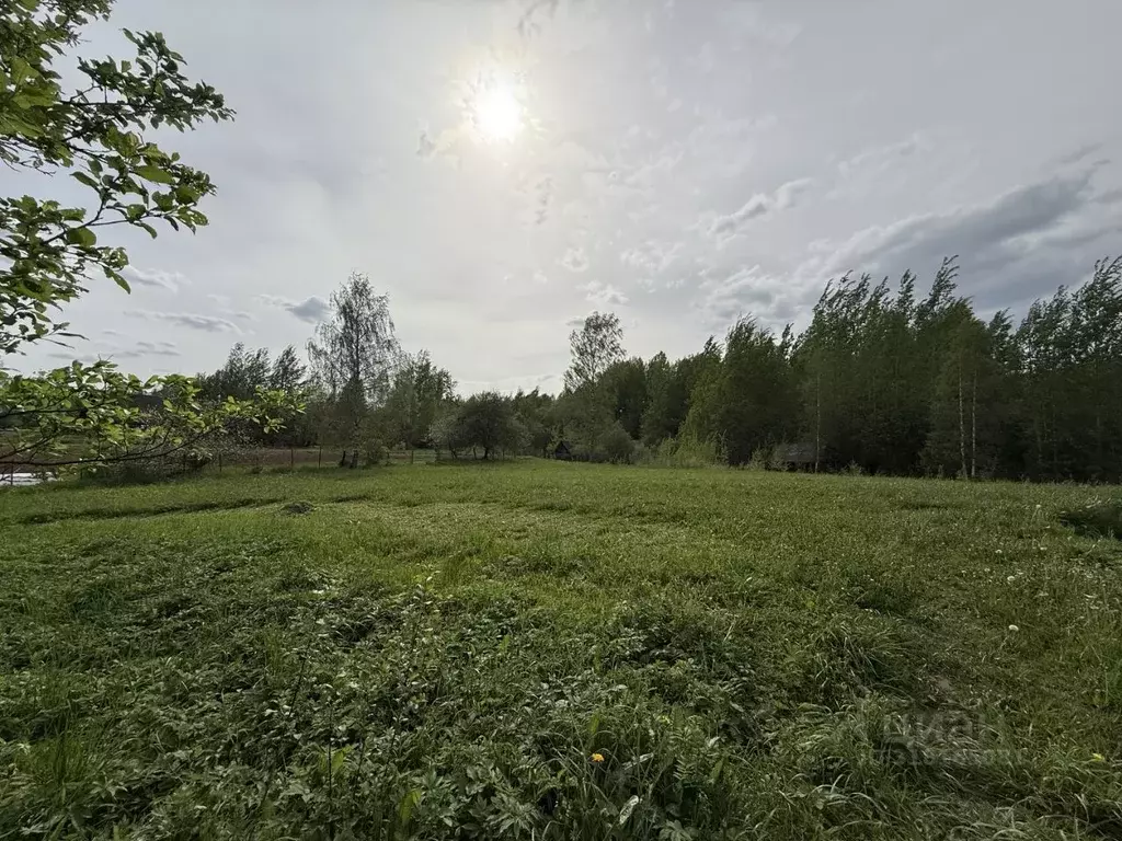 Участок в Новгородская область, Валдайское городское поселение, с. ... - Фото 0