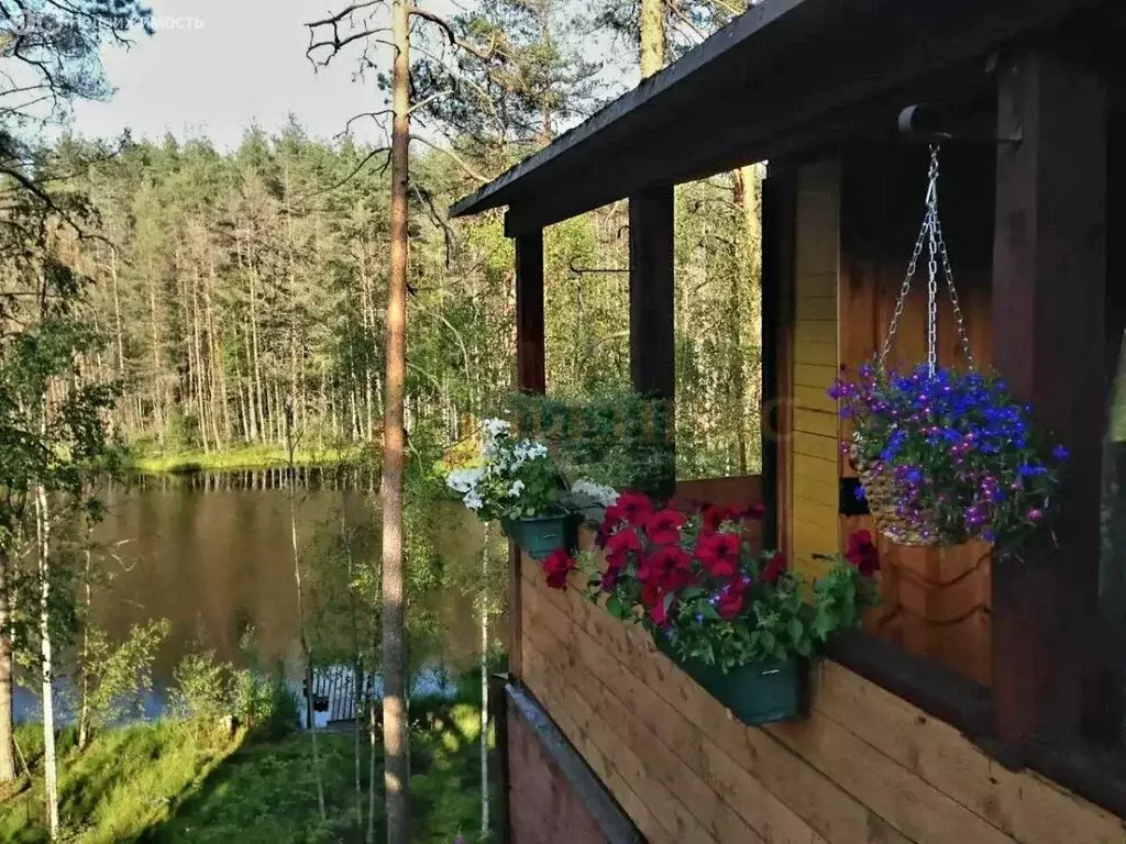 Дом в посёлок Поляны, Финская улица (45 м) - Фото 2