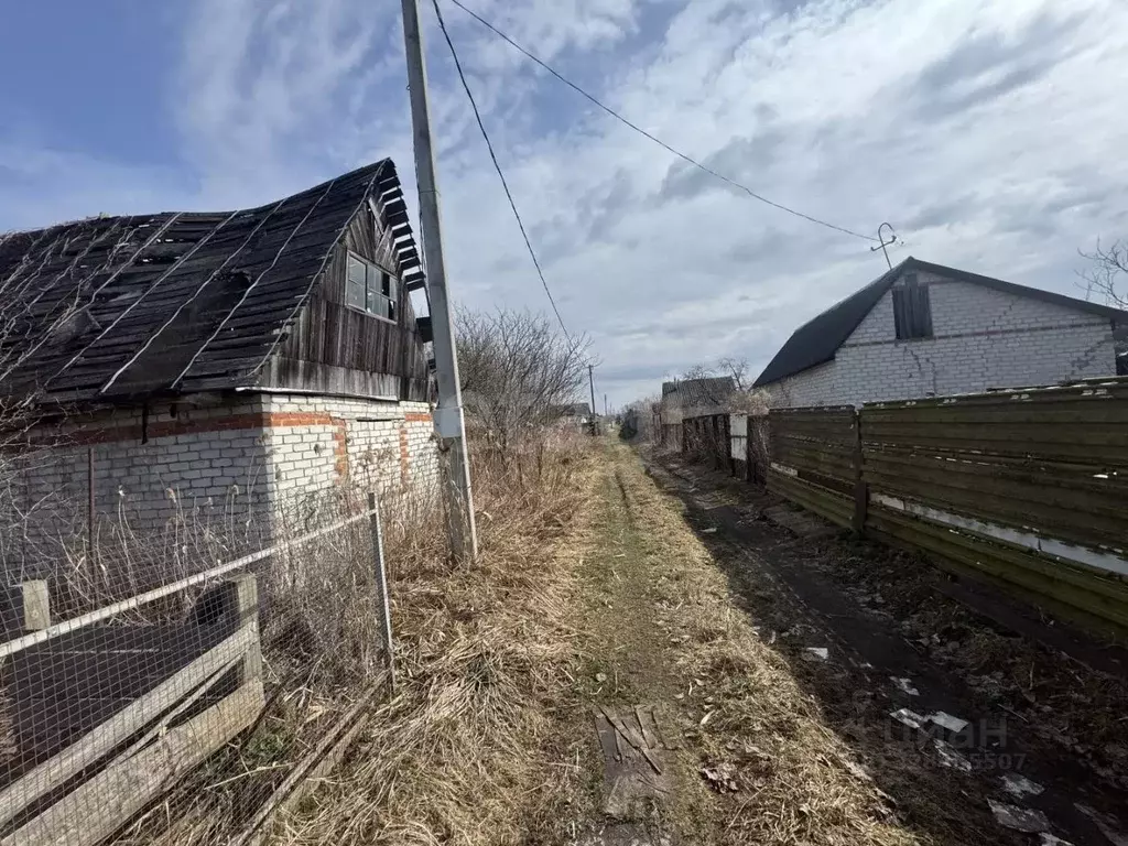 Участок в Брянская область, Сельцо  (5.83 сот.) - Фото 2