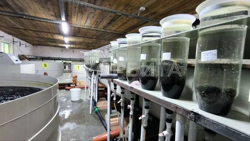 Производственное помещение в Тюменская область, Тюменский ... - Фото 2