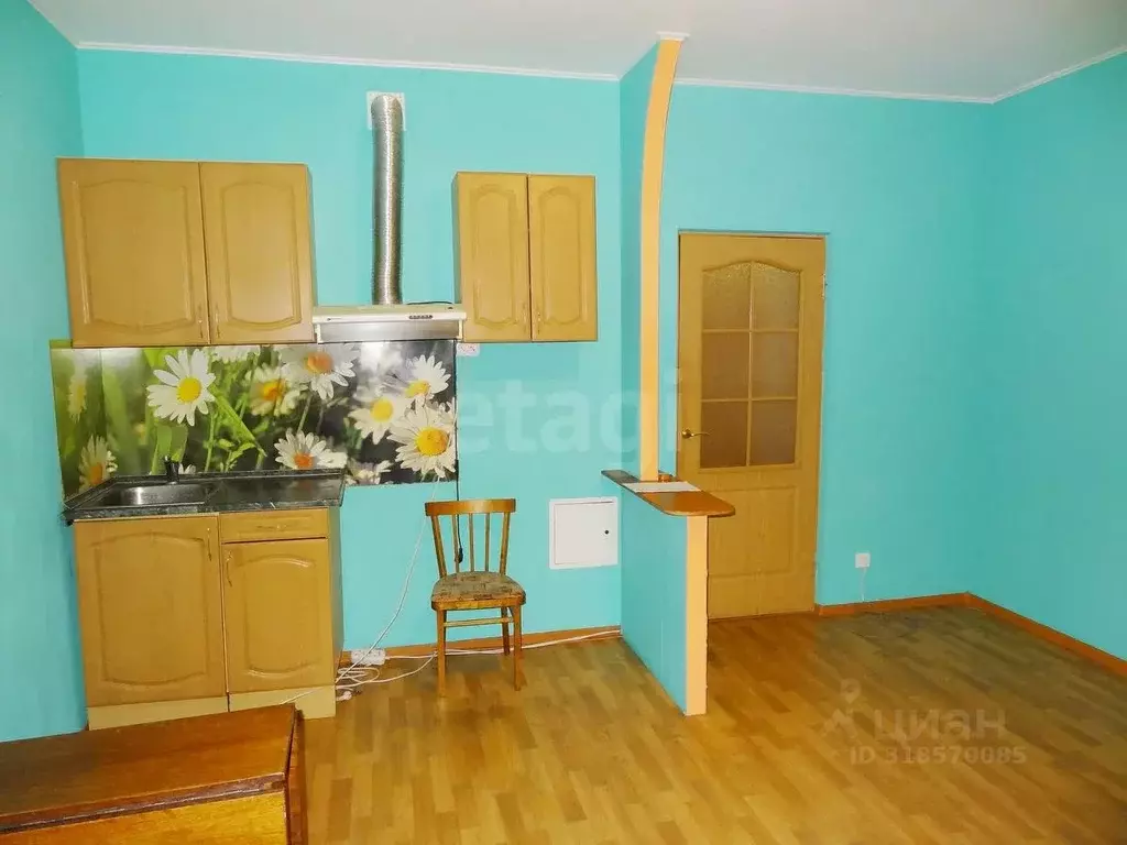 Студия Тюменская область, Тюмень ул. Газовиков, 55 (25.2 м) - Фото 1