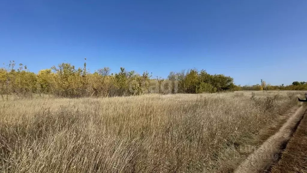 Участок в Саратовская область, Энгельсский район, Красноярское ... - Фото 1