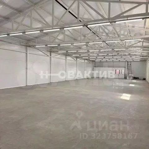 Помещение свободного назначения в Новосибирская область, Карасук ул. ... - Фото 1