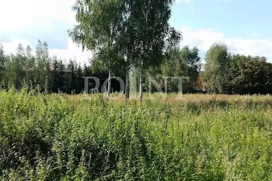 Участок в Московская область, Одинцовский городской округ, д. Ивановка ... - Фото 2